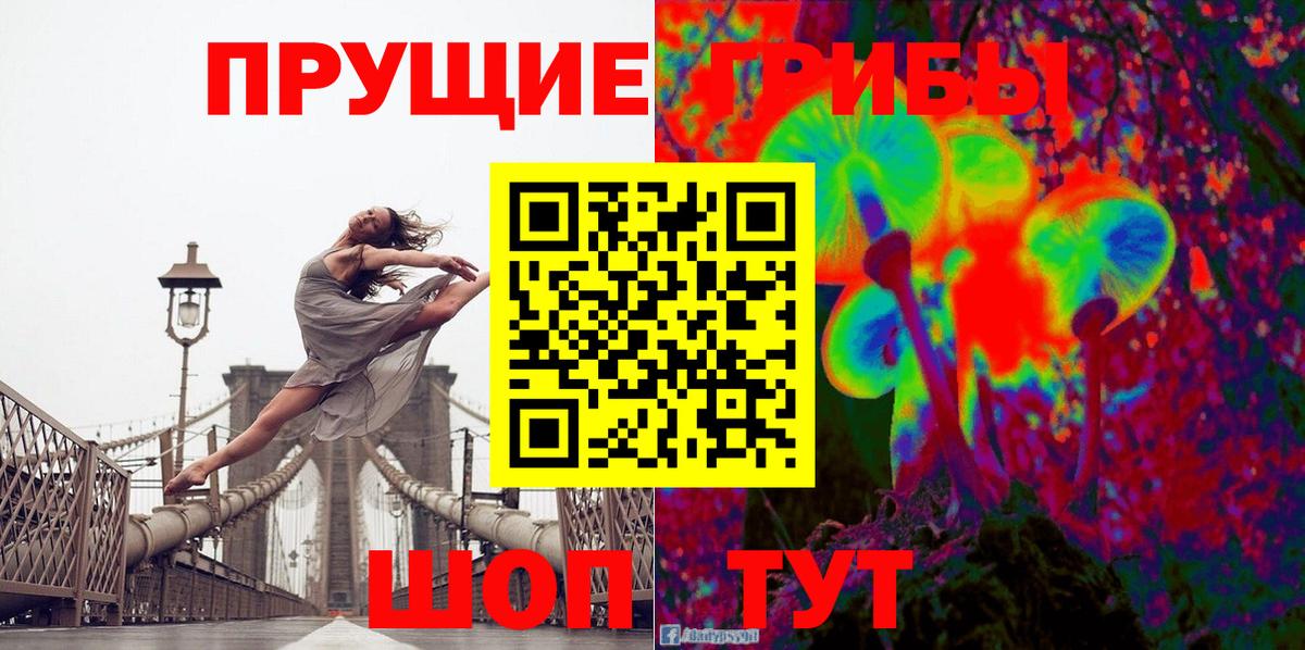 Галлюциногенные грибы Psilocybe Самара